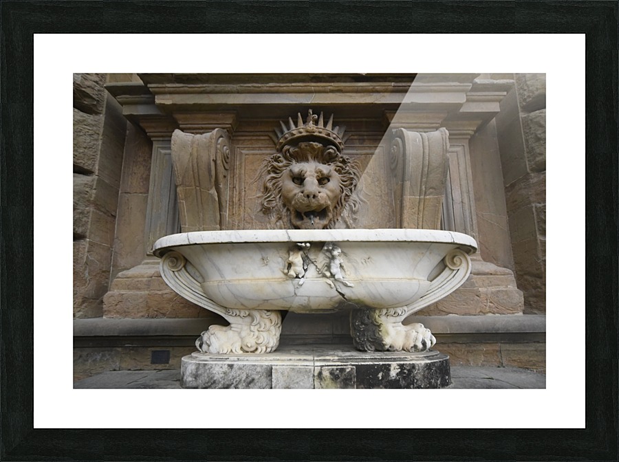 Pitti Piazza Picture Frame print