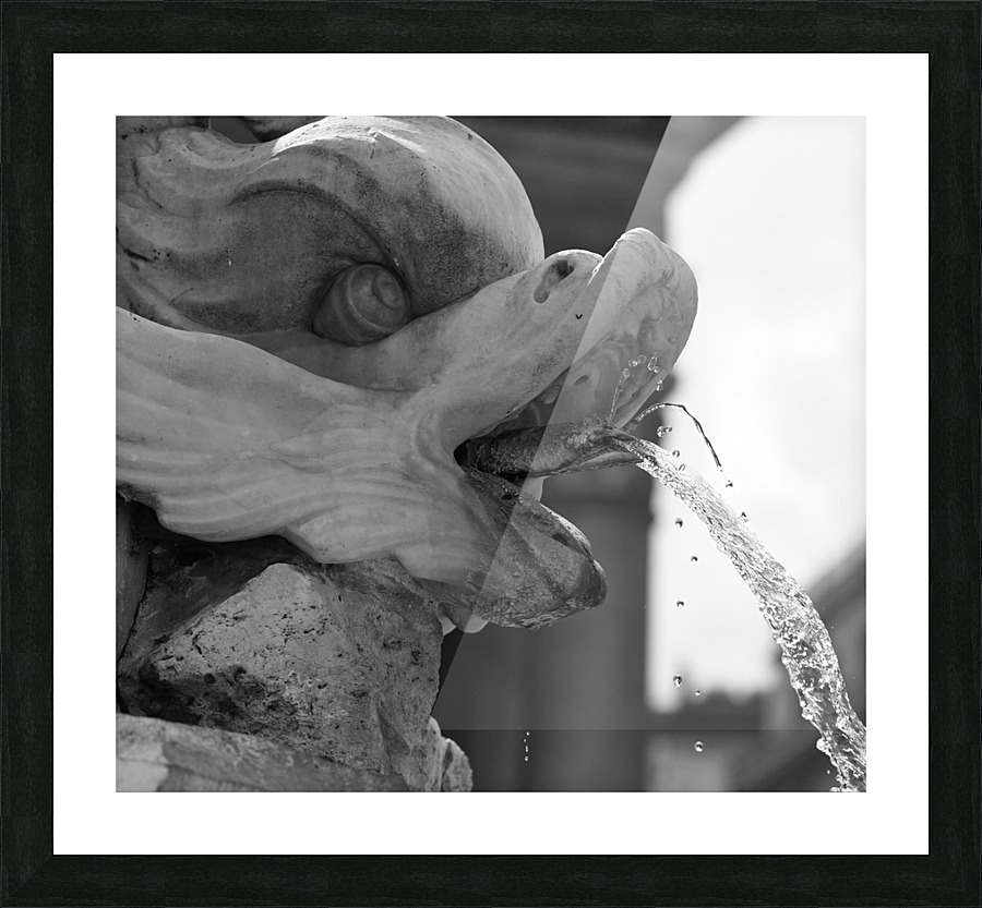 Fountain Picture Frame print