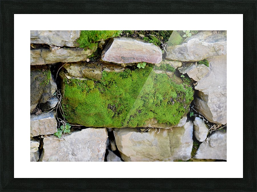 Mossy Stone Picture Frame print