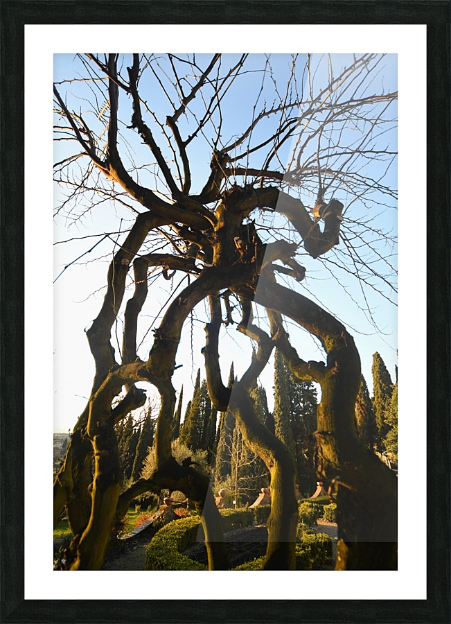 Villa Agape Picture Frame print
