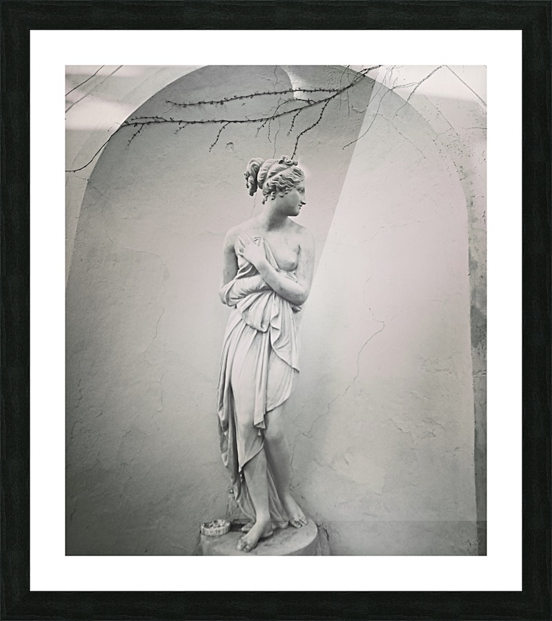 Bella Picture Frame print