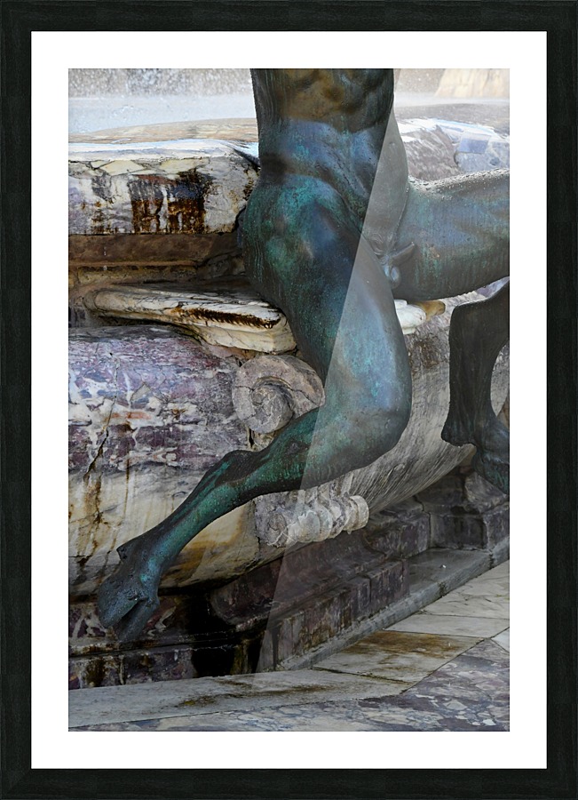 Patina Pan Picture Frame print