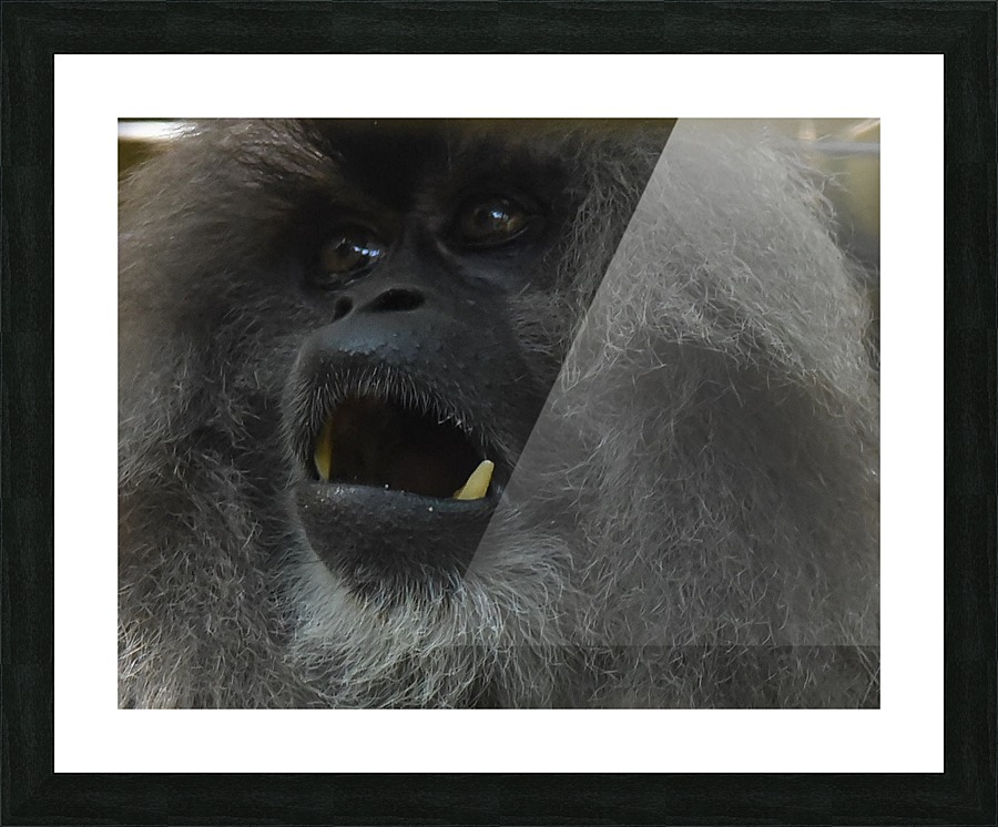 Fierce Picture Frame print