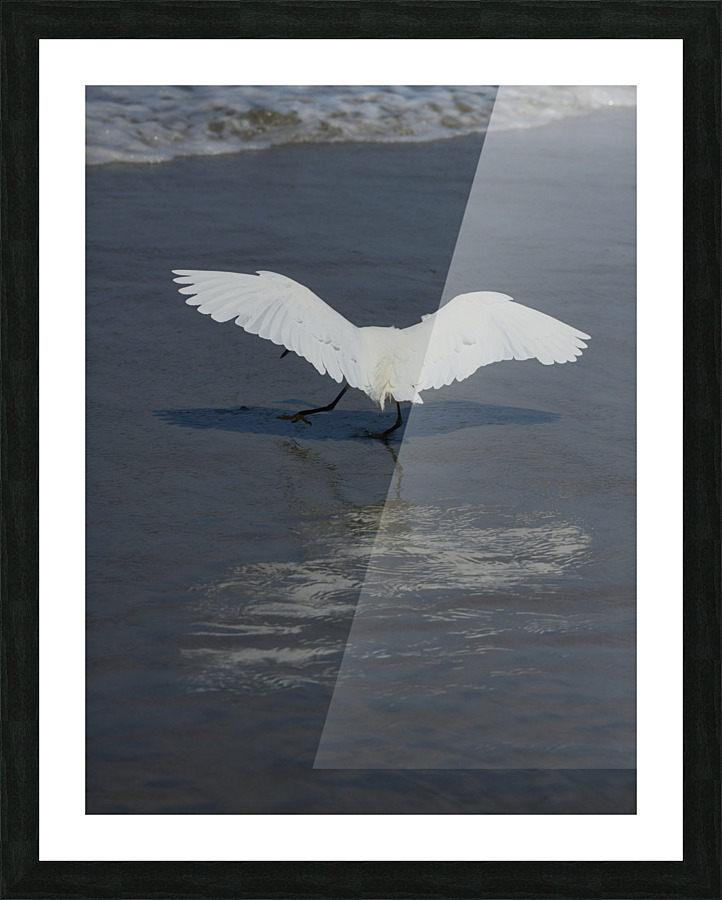 White Wings Picture Frame print
