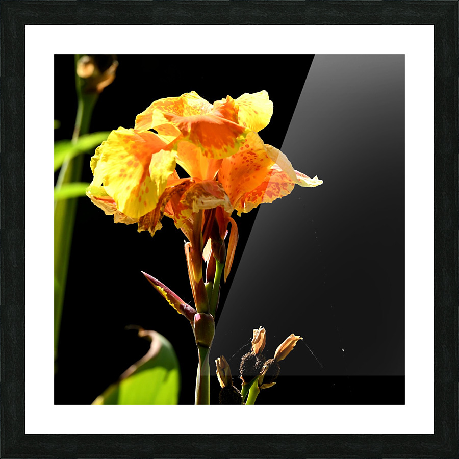 Orange Picture Frame print