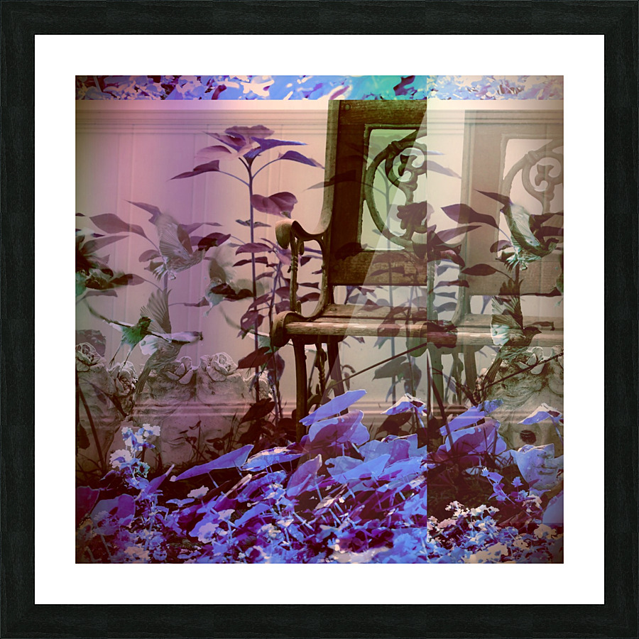 Holga Garden Picture Frame print
