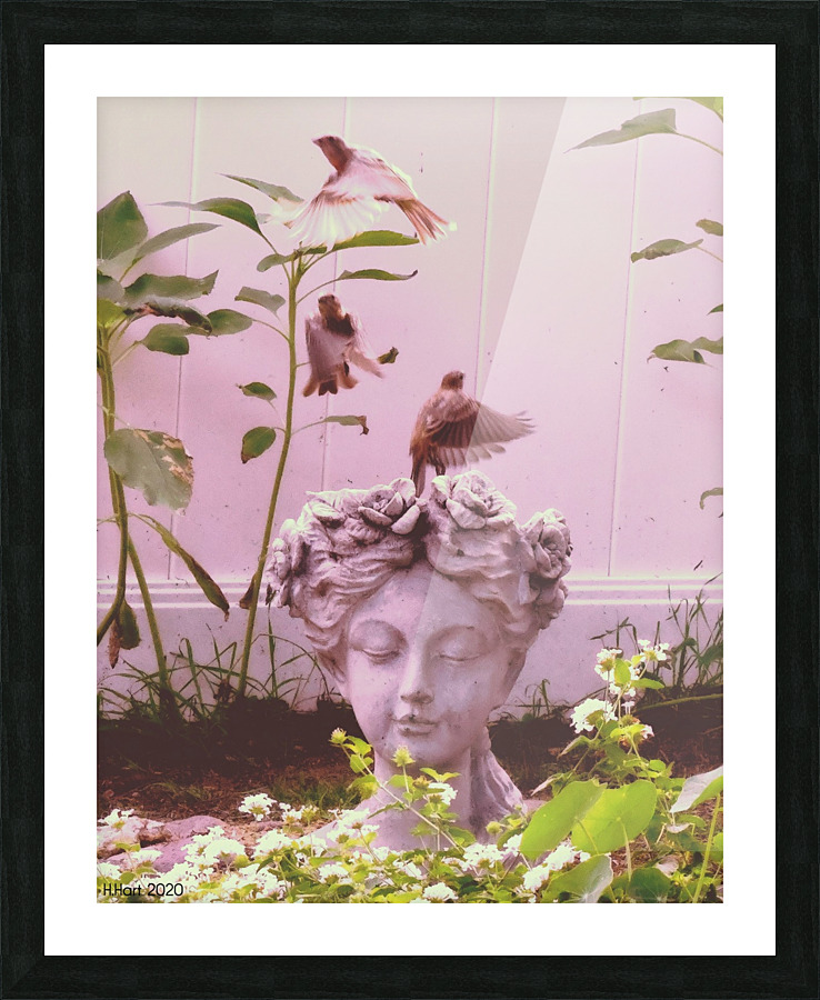 Flighty Picture Frame print