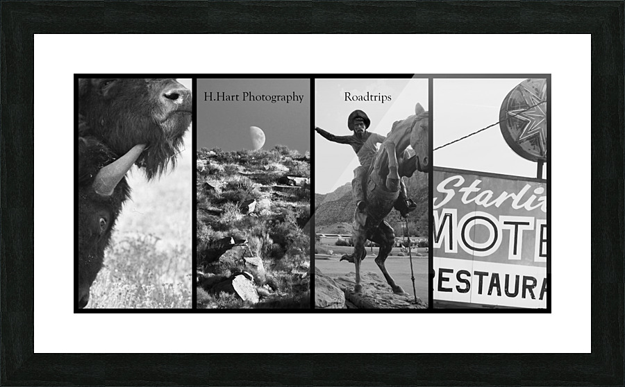 Roadtrips1 Picture Frame print