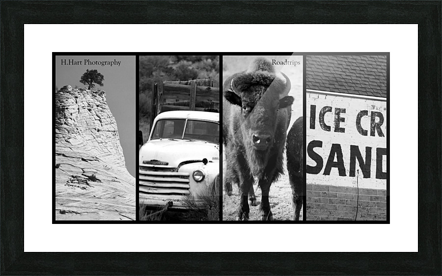 Roadtrips2 Picture Frame print