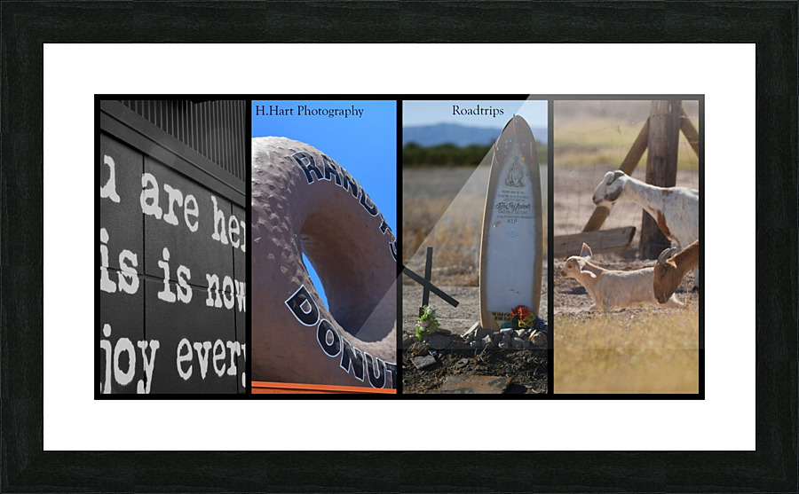 Roadtrips4 Picture Frame print