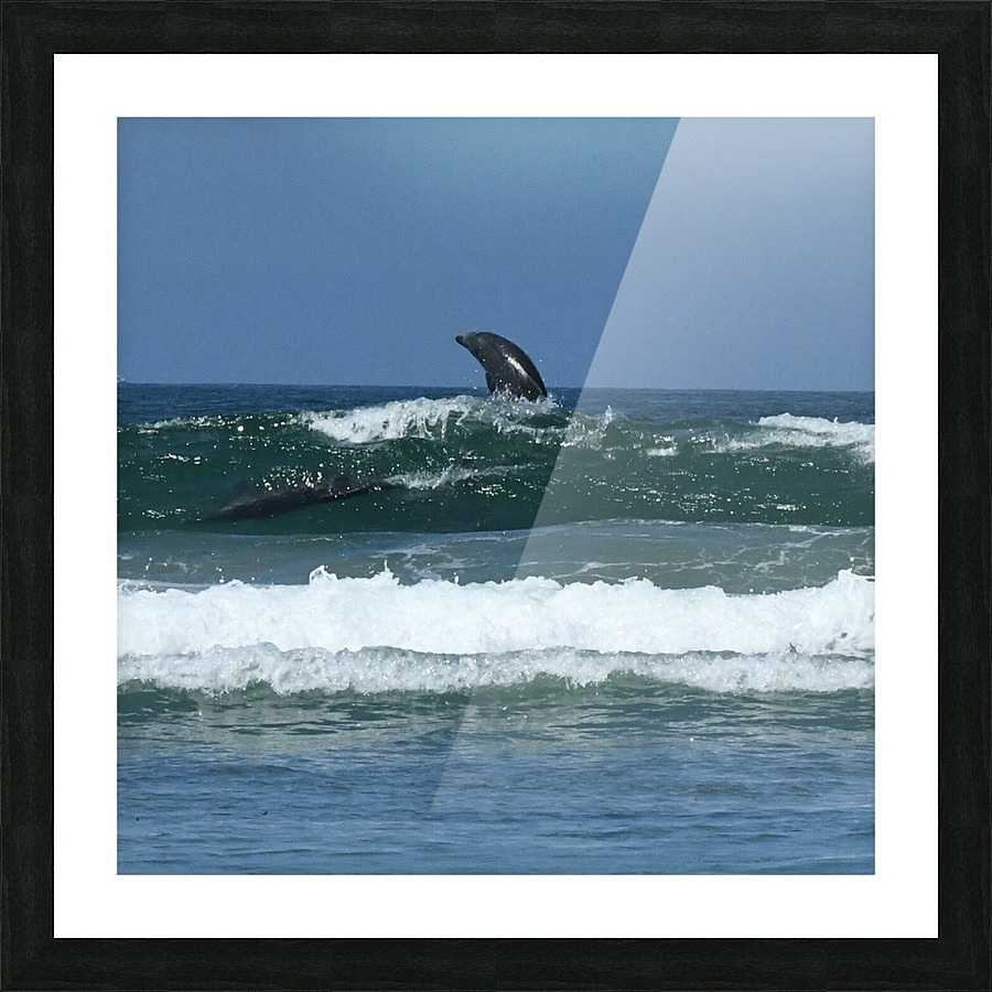 DSC 1712 Picture Frame print