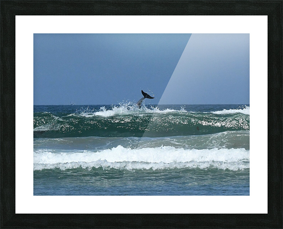DSC 2075 Picture Frame print