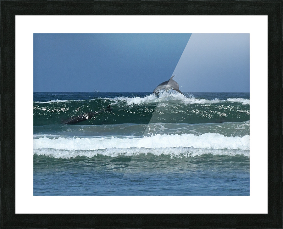 DSC 1714  1  Picture Frame print