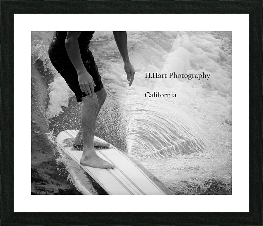 DSC 2987  1  Picture Frame print