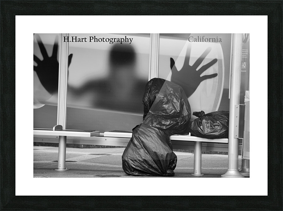 bDSC 1499  1  Picture Frame print