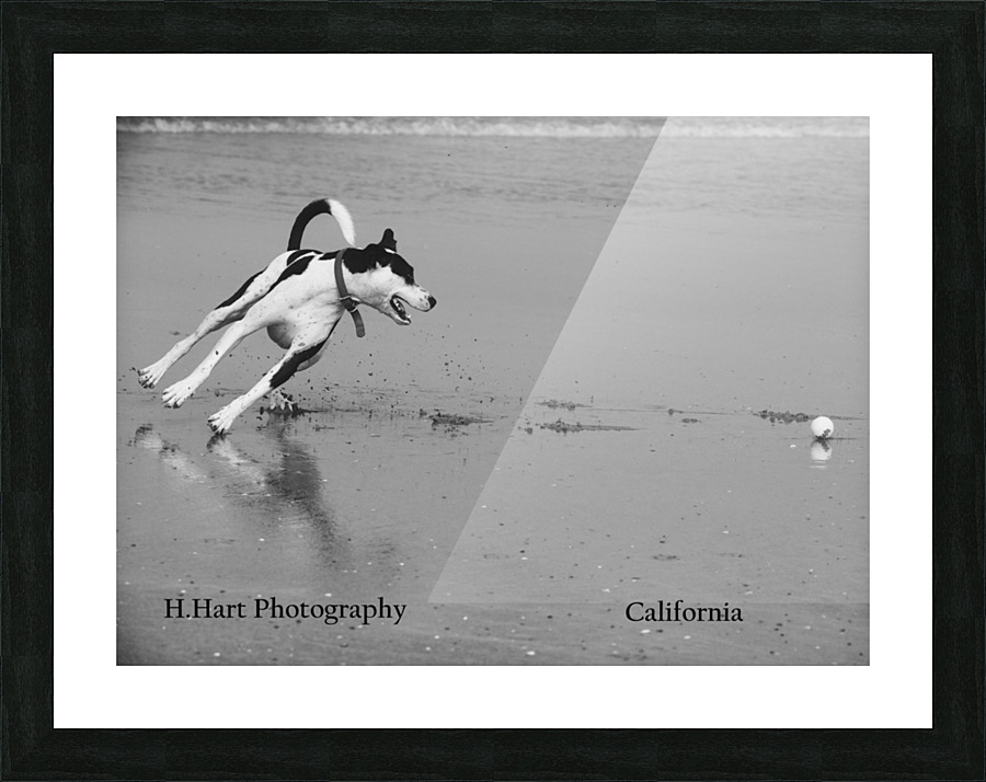 DSC 9093  2   1  Picture Frame print