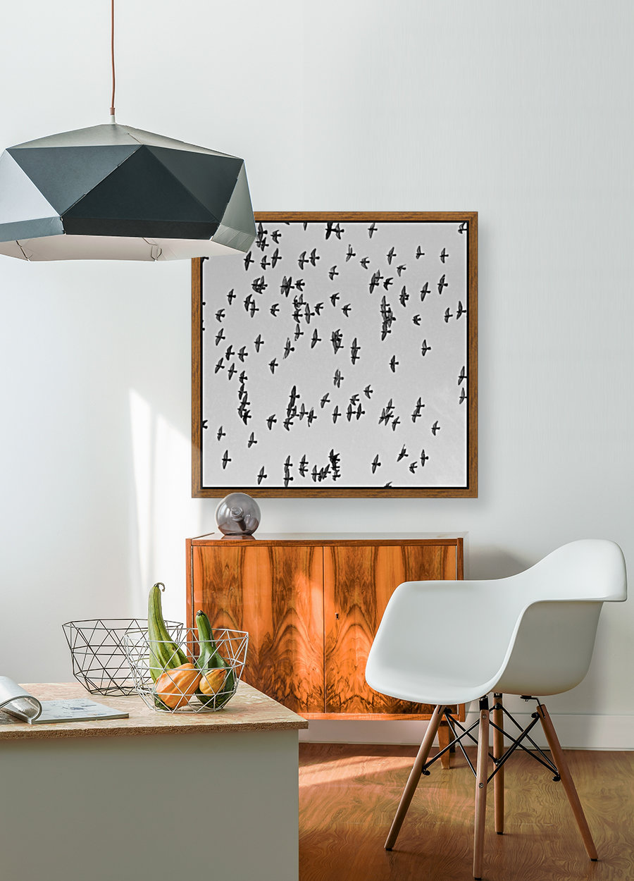 Urban Murmuration Reproduction