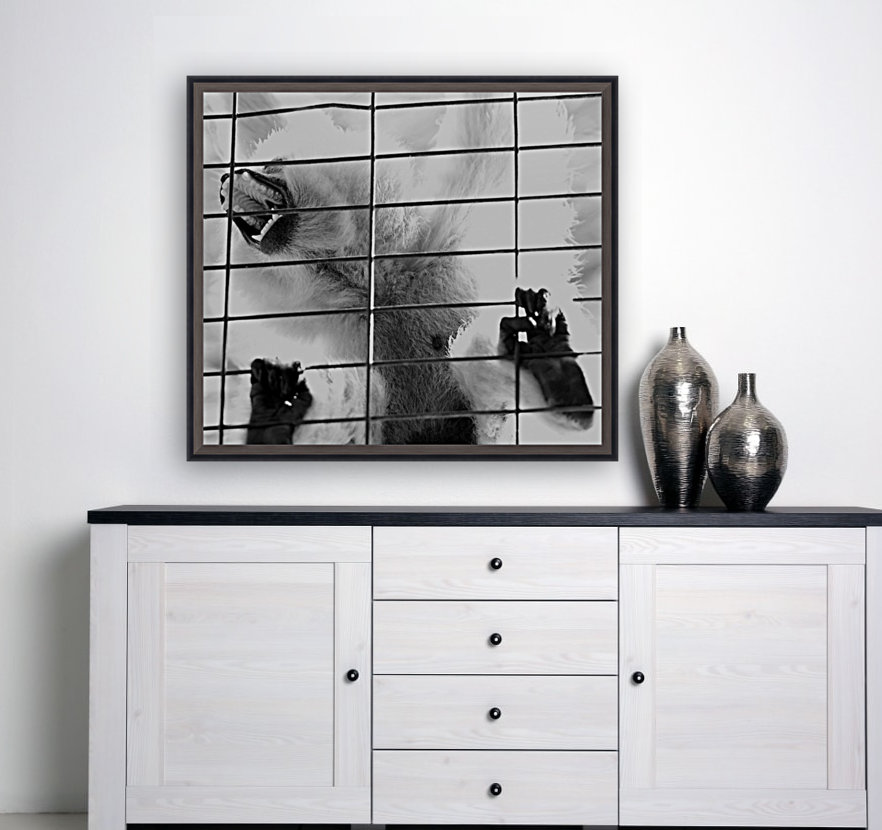 Caged Shriek Reproduction