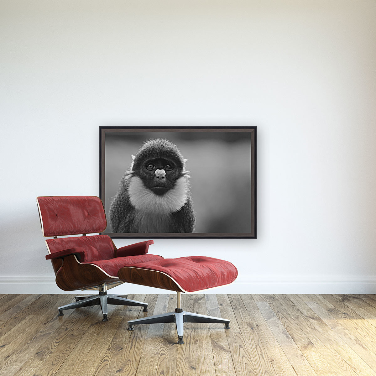 Monkey Eyes Reproduction