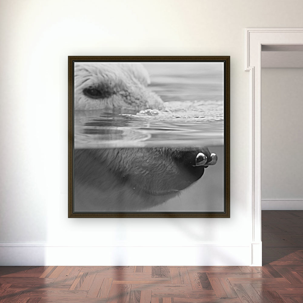 Bear Bubbles Reproduction