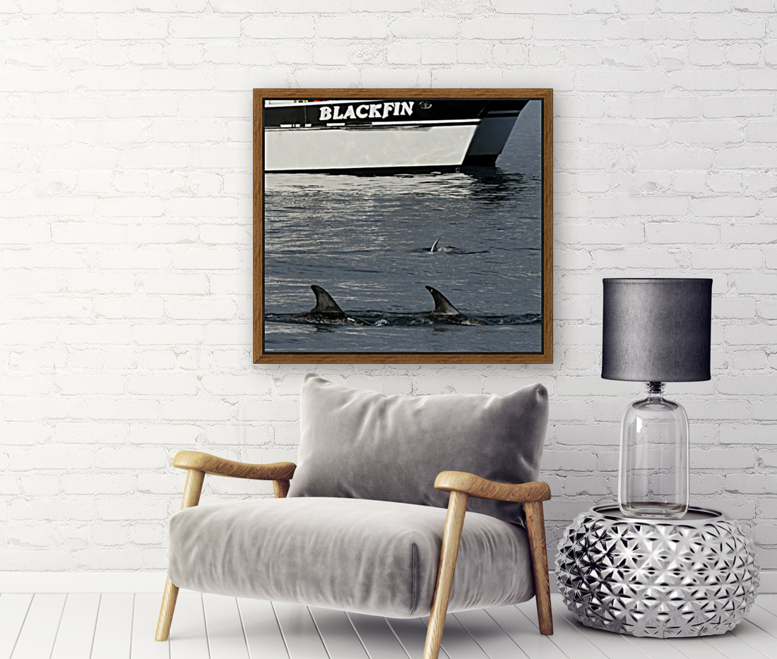 Blackfin Reproduction