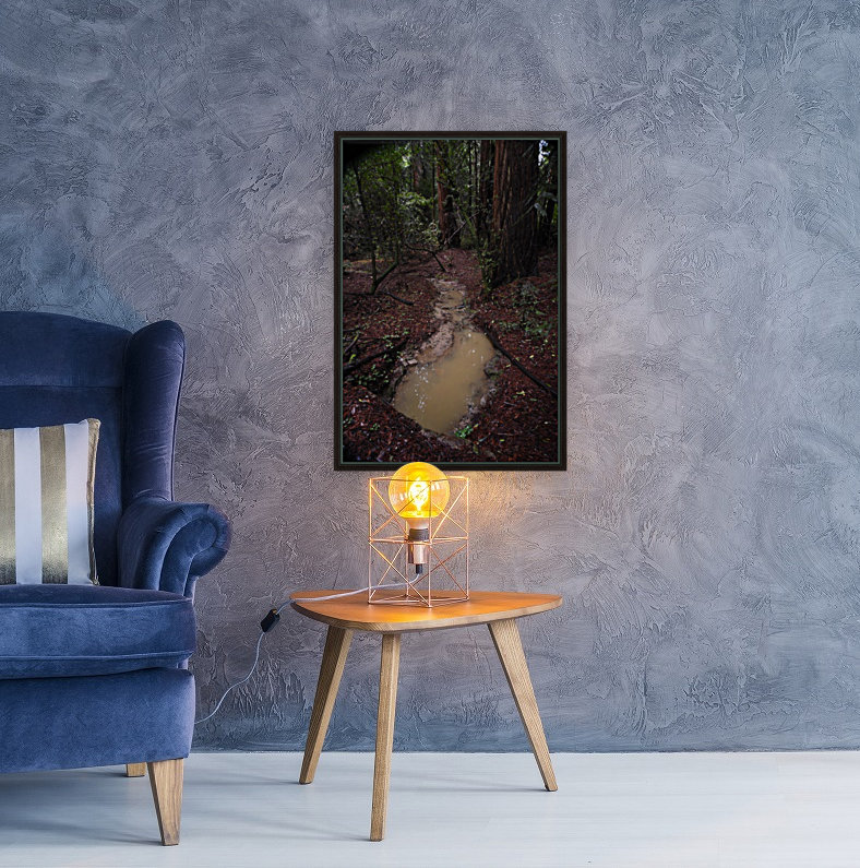 Forest Puddle Reproduction