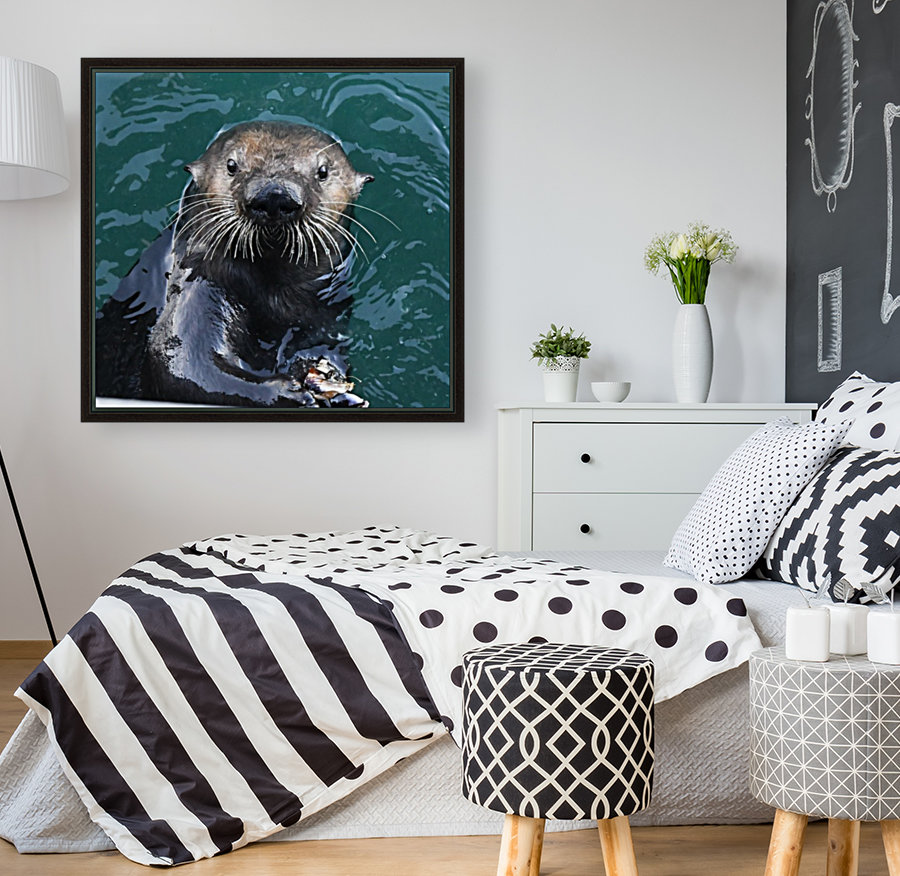 Otter Face Reproduction