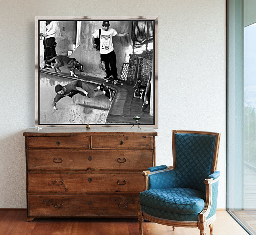 Skate Park Reproduction