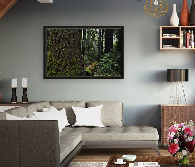 Enchanted Forest Reproduction