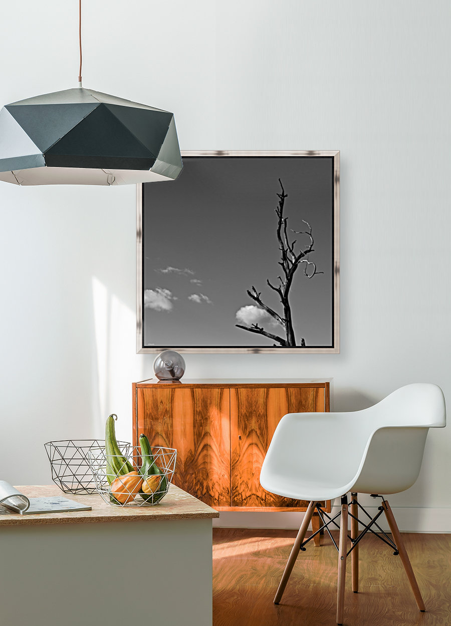Stuck Cloud Reproduction