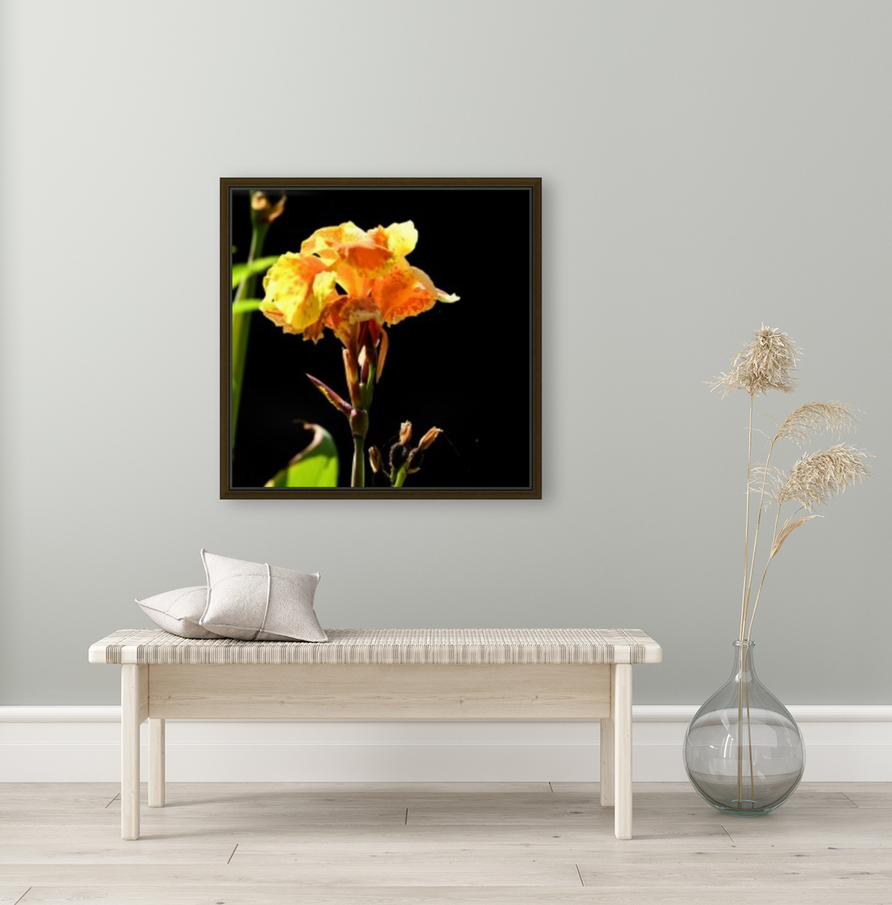 Orange Reproduction