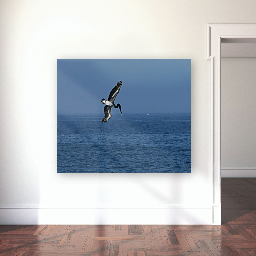 Pelican Dive Reproduction