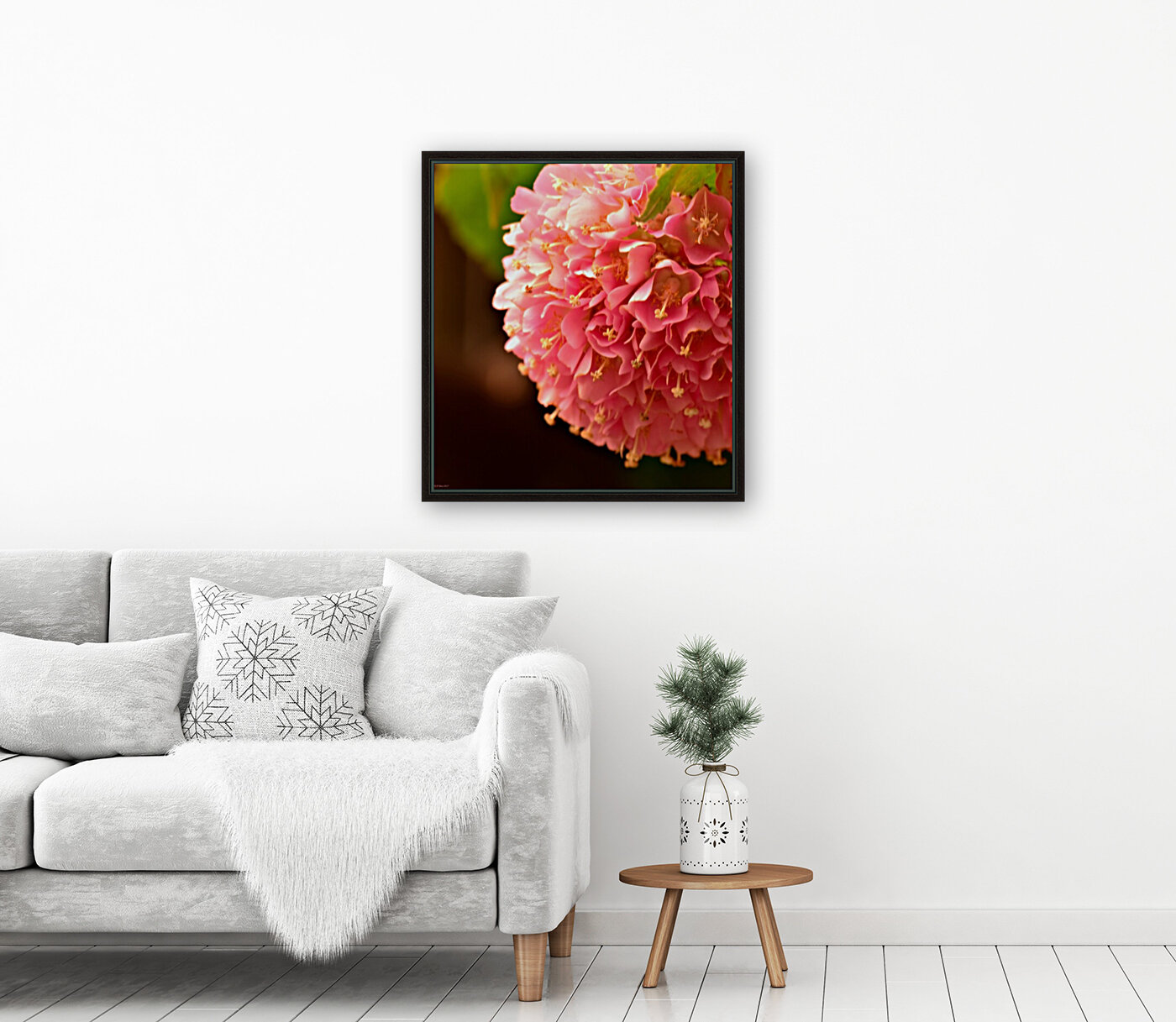 Pink Puff Reproduction