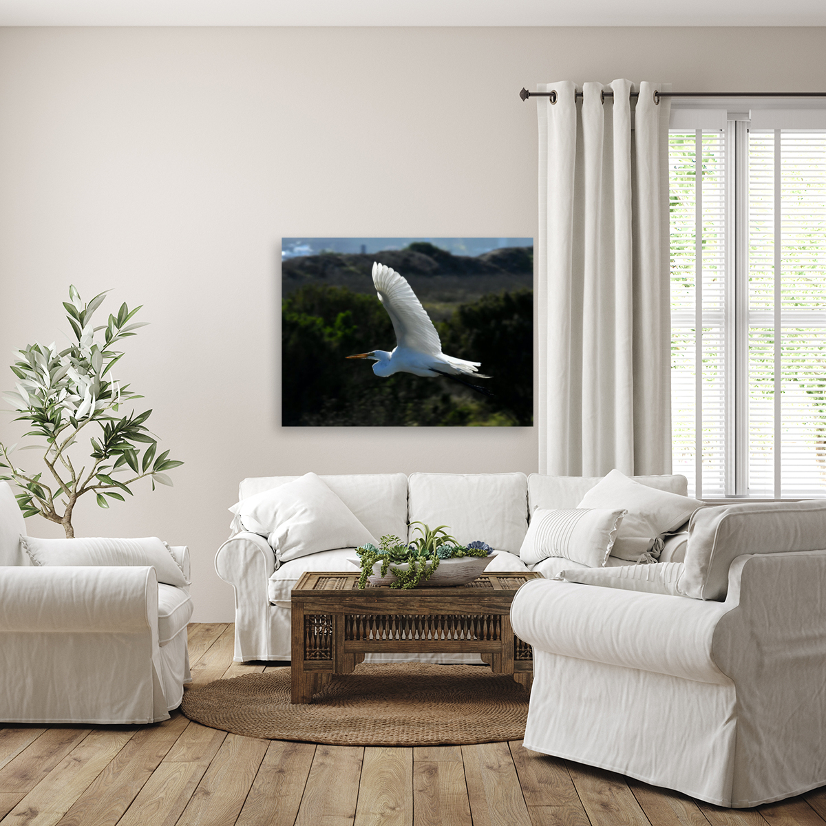 Egret 5 Reproduction