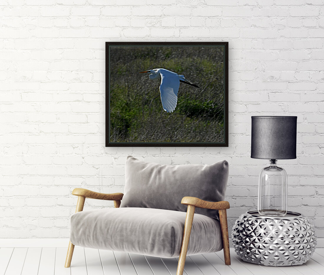 Egret 4 Reproduction
