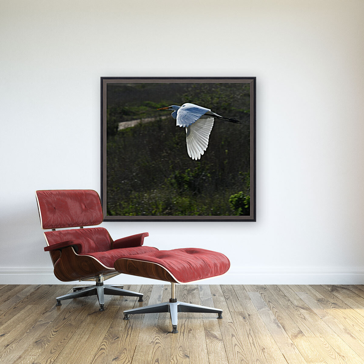Egret 2 Reproduction