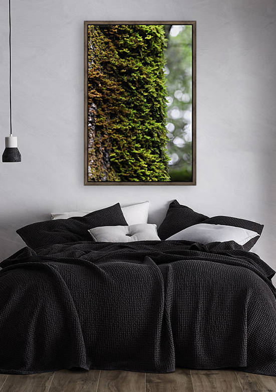 Trunk Moss Reproduction