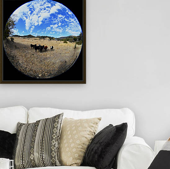 Cows Reproduction