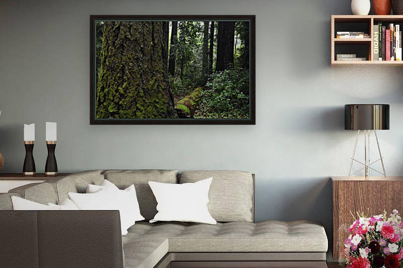 Enchanted Forest Reproduction
