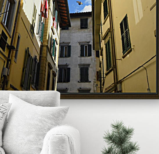 Bird Between Buildings Reproduction