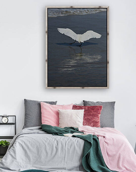 White Wings Reproduction