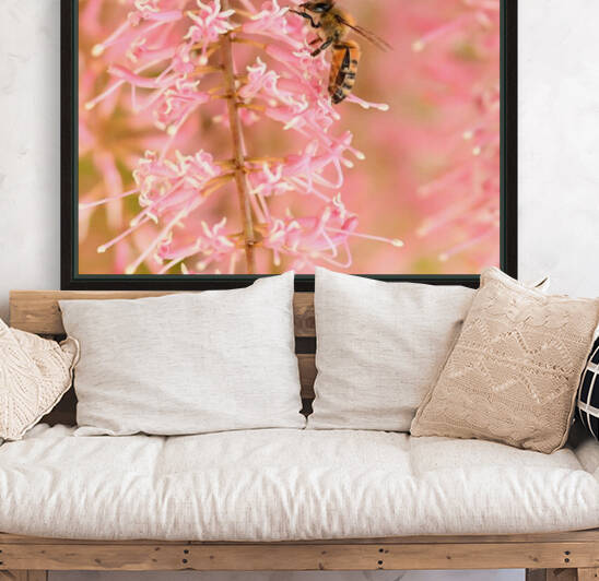 Pink Bee Reproduction