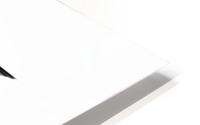 Linear Wings HD Metal print