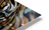 Tyger Tyger HD Metal print