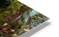 British Columbia HD Metal print
