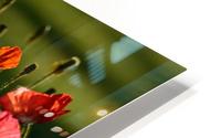 Spring HD Metal print