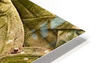 Bird and Moss HD Metal print