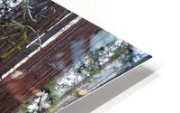 Giants HD Metal print