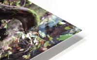 Uprooted HD Metal print