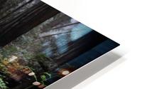 Fallen Wood HD Metal print